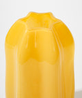 Big-bellied Gourd Glass Vase - HYPEINDAHOUSE