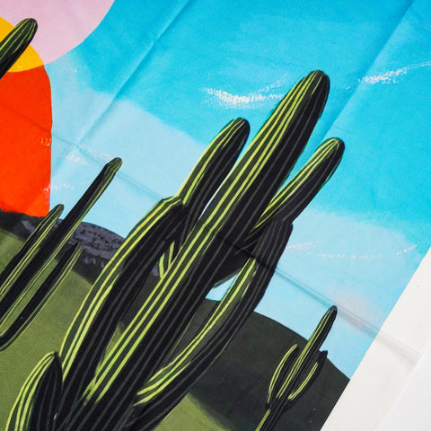 Fake Window | Sunset Cactus Tapestry - HYPEINDAHOUSE
