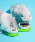 Circle Pet Bowl - HYPEINDAHOUSE