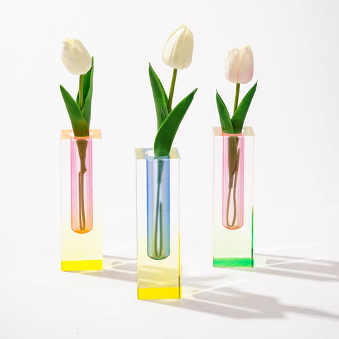 Colorful Vibe Acrylic Decor Vase - HYPEINDAHOUSE