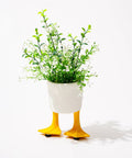 Funny Duck Feet Planter - HYPEINDAHOUSE