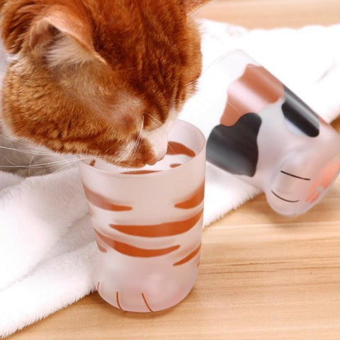 Japanese Style Cat Paw Shape Glass - HYPEINDAHOUSE
